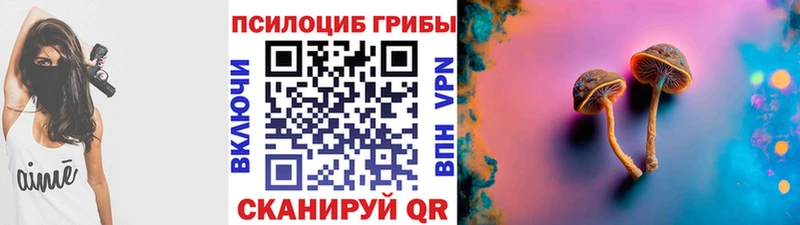гидра   Бирюсинск  Псилоцибиновые грибы Psilocybe 